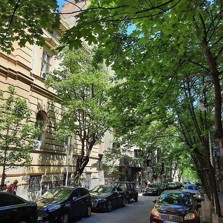 Apartment 51 - Bright, Spacious, Lux 1 Bedroom In The City Center - Stari Grad Βελιγράδι Εξωτερικό φωτογραφία