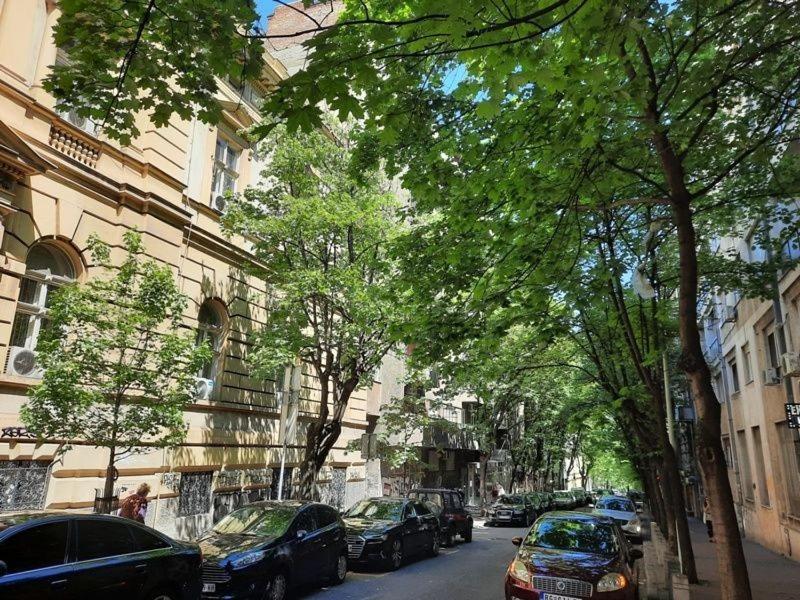 Apartment 51 - Bright, Spacious, Lux 1 Bedroom In The City Center - Stari Grad Βελιγράδι Εξωτερικό φωτογραφία